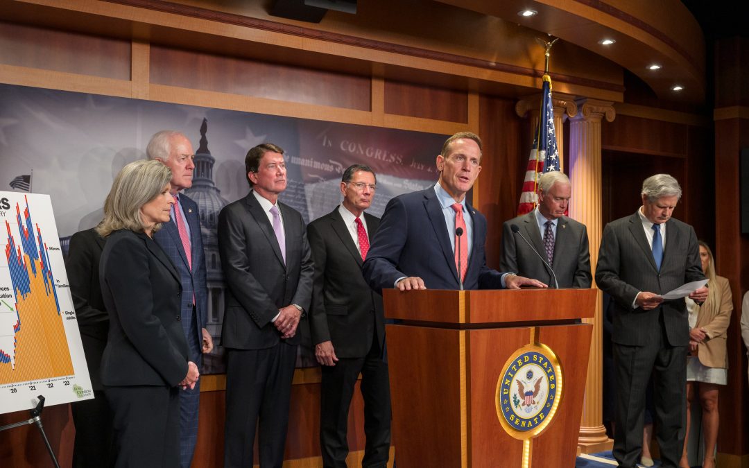 Budd, Hagerty, Colleagues Reintroduce Legislation to Prohibit Foreign Nationals from Funding American Elections