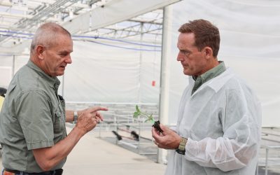 Budd Leads FARM Stability Act to Stabilize Agricultural Labor Costs